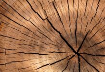 Z jakiego drewna zrobić piaskownice?