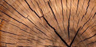 Z jakiego drewna zrobić piaskownice?